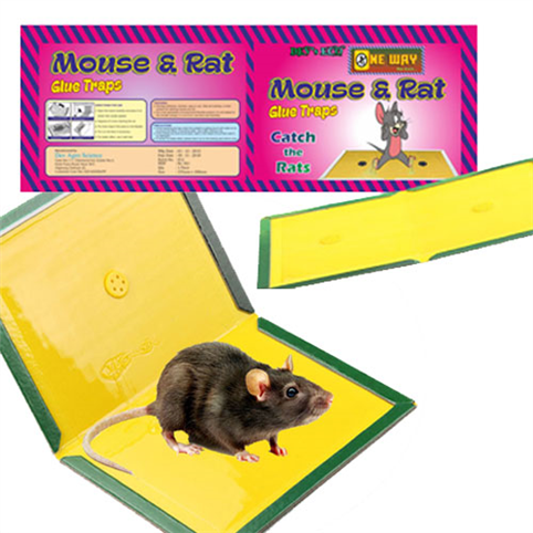 NoRat Gluetube - Rat Glue - 1env Solutions